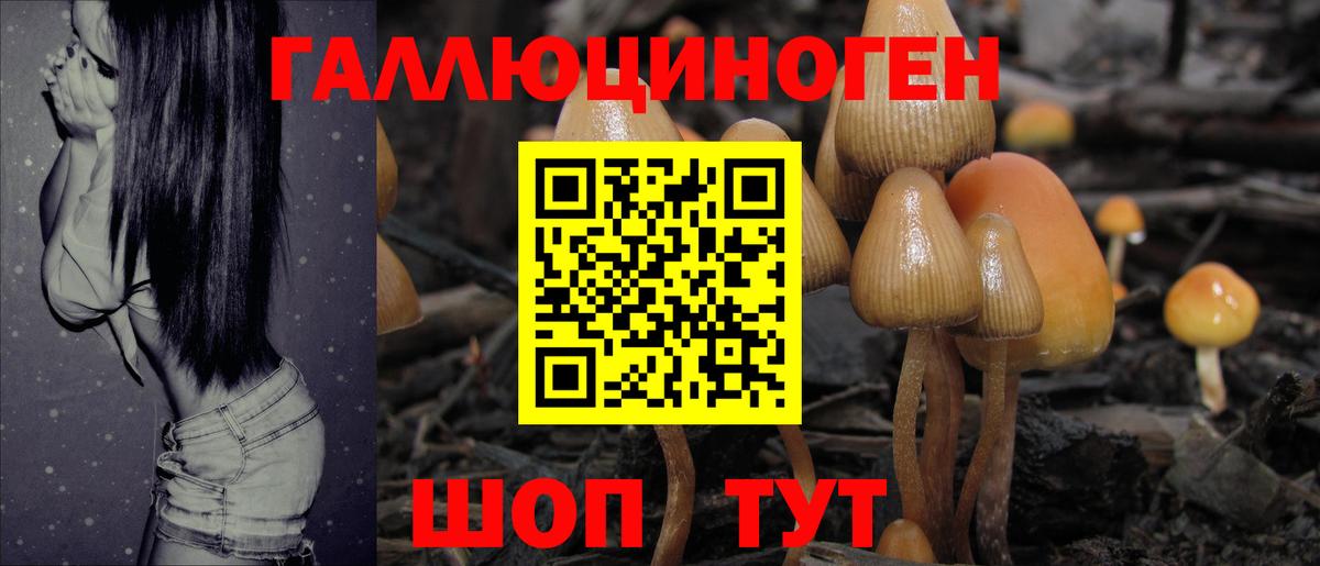 Кропоткин  Псилоцибиновые грибы мухоморы  Галлюциногенные грибы мухоморы  Вход с VPN 