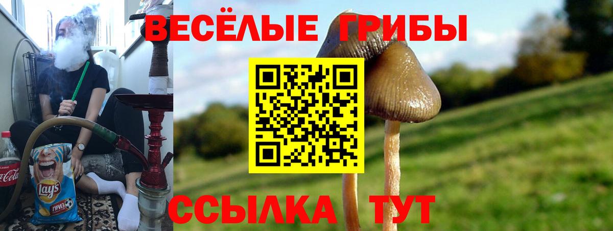 Галлюциногенные грибы GOLDEN TEACHER Кропоткин